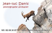 Jean-Luc DANIS